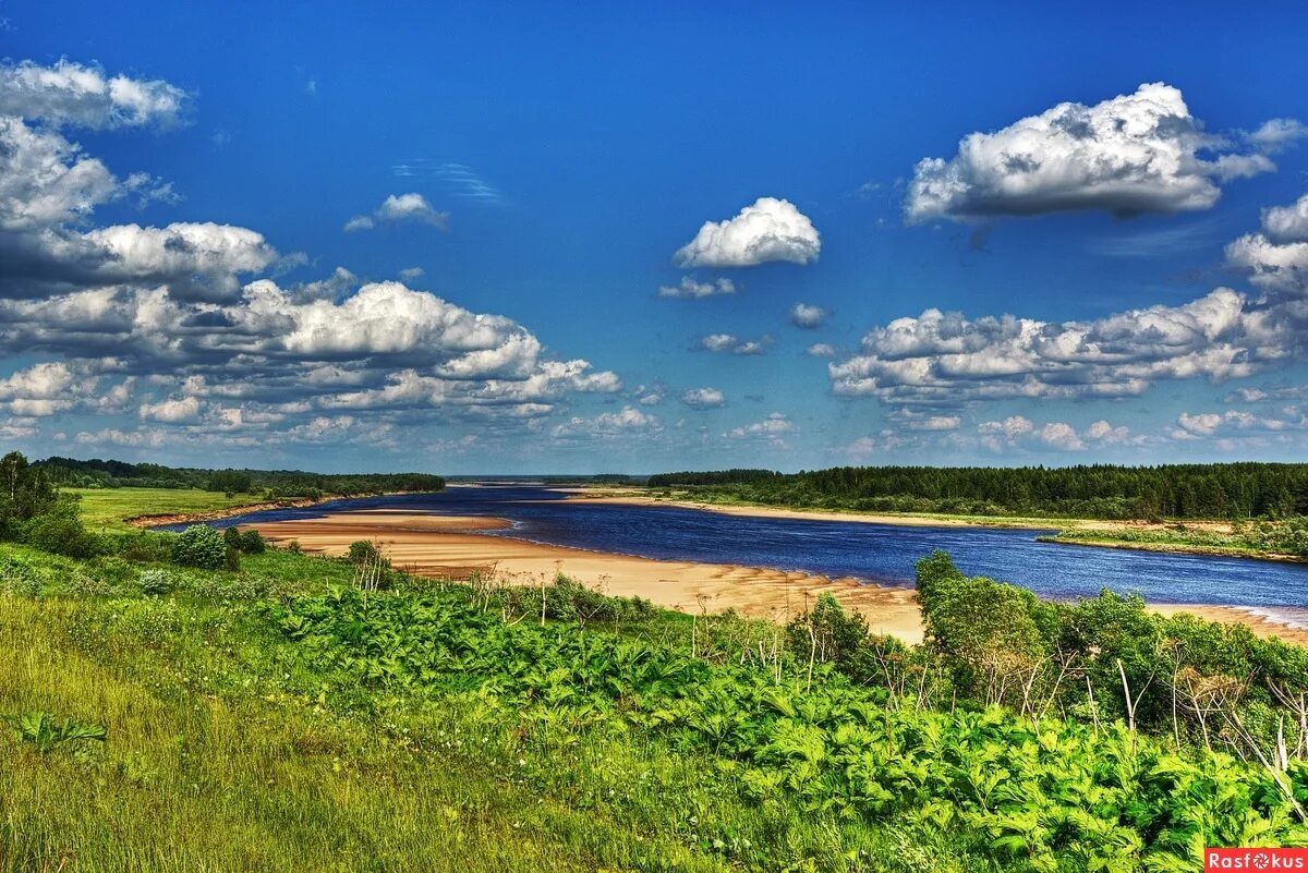 Малая северная двина. Река Северная Двина. Река Северная Двина река. Река Северная Двина Красавино. Северная Двина лето.
