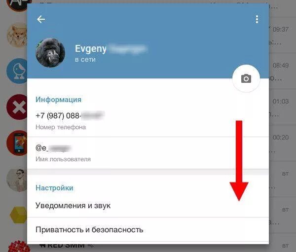 Информация по номеру в телеграм. Техподдержка телеграмма. поддержка телеграмм. служба поддержки телеграмм.