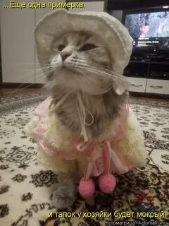 Нынче в белом