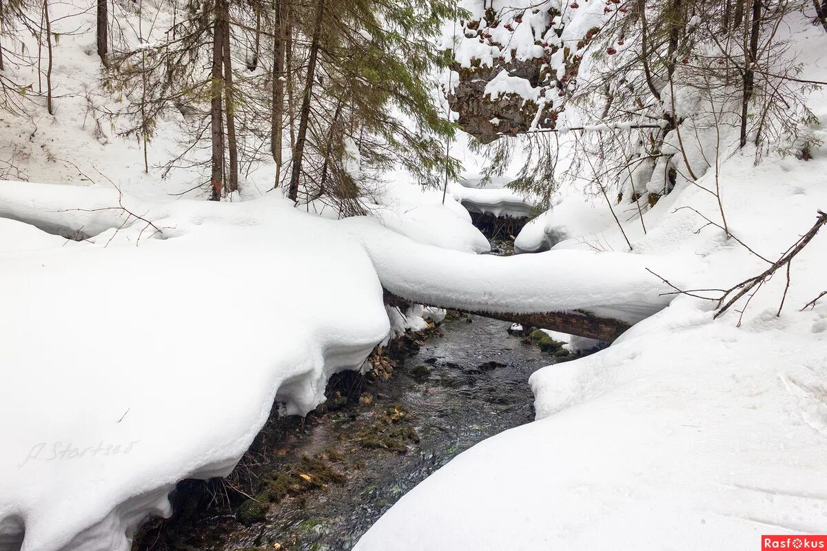 старцев пермский край. старцев пермский край. церковь троицы живоначальной. пермский край пейзаж лес. лысьва пермский край.