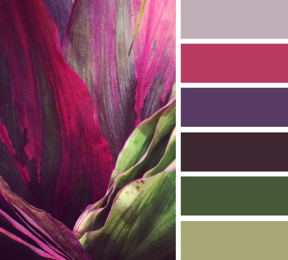 Красная палитра. Розово фиолетовая палитра. Цветовая палитра красный. Цветовая палитра с бордовым цветом. Марсала палитра incolor balance.