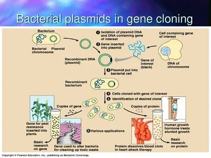Cloning into