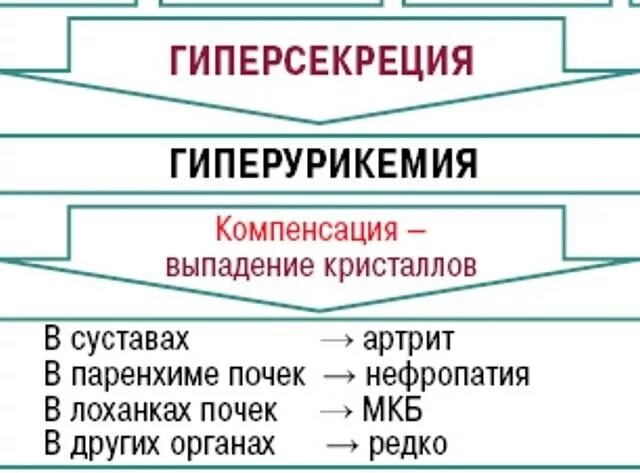 Кислота в крови повышена причины симптомы. Гиперурикемия. Причины и проявления гиперурикемии. Клинические проявления гиперурикемии. Гиперурикемия у женщин.