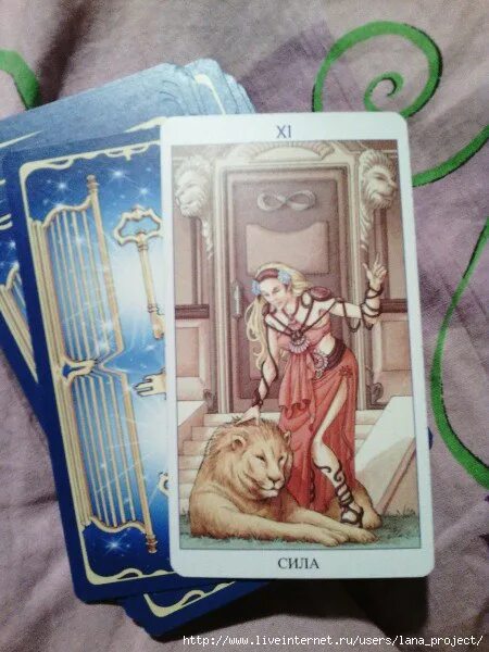 колесница таро 78 дверей. верховная жрица таро 78 дверей. карта сила таро 78 дверей. сила 78 дверей. сила таро 78 дверей.