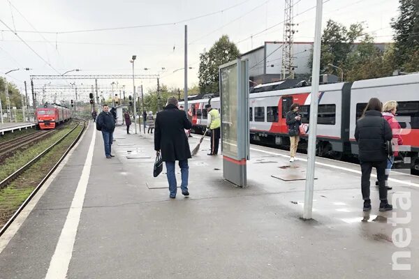 Станция мамонтовка московская область. Заветы ильича станция мск жд. Заветы зеленоградская электрички. Заветы зеленоградская электрички. Ласточка цппк.