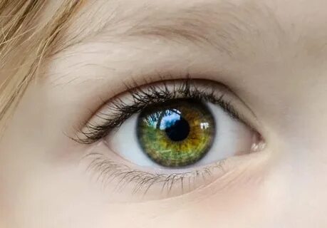 Have a high eyes