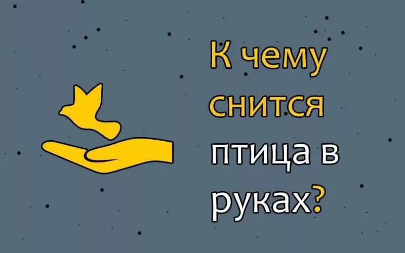 Приснились птички. К чему снятся птицы. К чему снится птица в руках. Видеть во сне птичку.