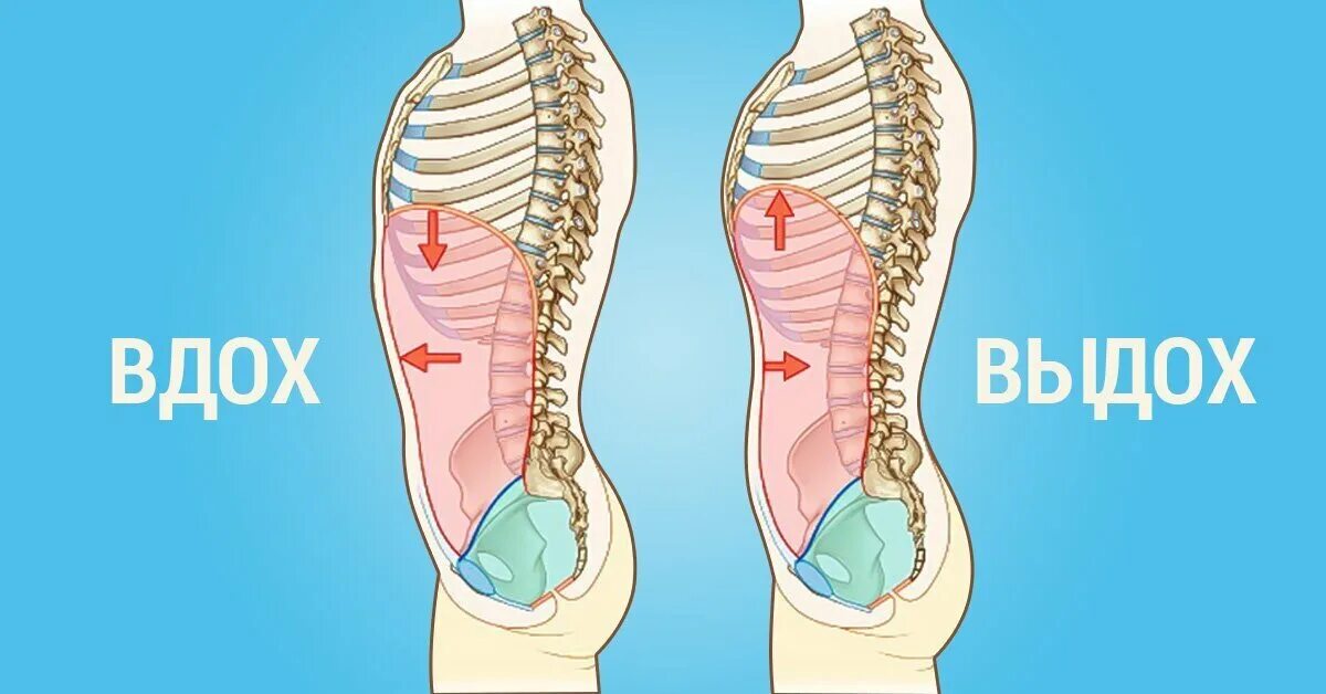 Правильный вдох и выдох. Глубокий вдох и выдох. Глубокое дыхание. Медленное глубокое дыхание. С первым вдохом