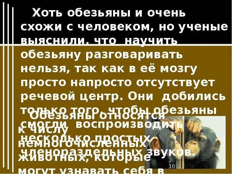 Про обезьянку 3 класс конспект. Житков про обезьянку. про обезьянку 3 класс. статью об обезьянах.