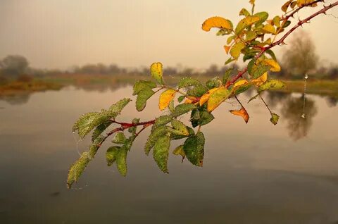 День день над водою