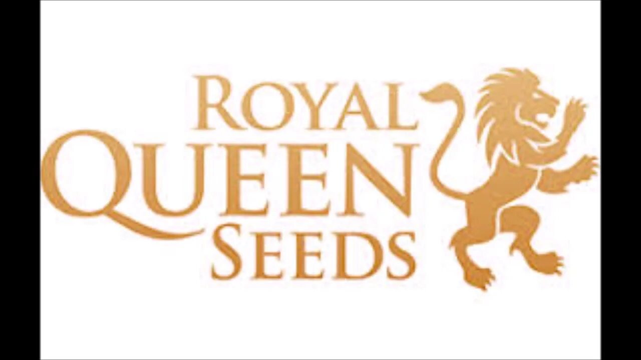 Логотипы сидбанков. Royal Queen Seeds. Royal Queen Seeds logo. Сид банк