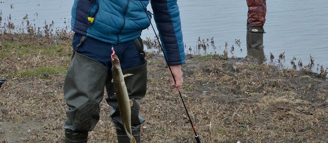 Запрет на щуку в липецкой области. Щука Воронежской области. Щука Липецкая область. Рыбалка в апреле в Липецкой области. Браконьеры в Липецкой области.