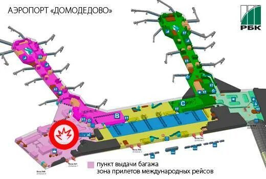 Где в домодедово зона вылета. План аэропорта домодедово. домодедово аэропорт схема терминалов.