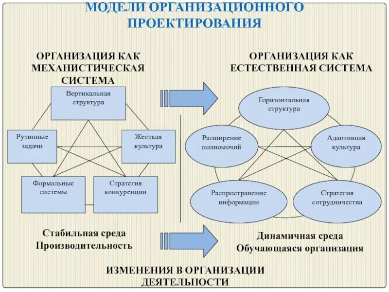 Содержание организационной структуры