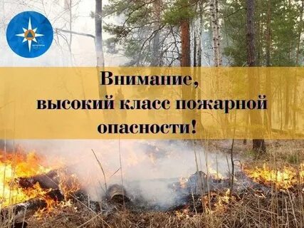 5 чрезвычайный класс