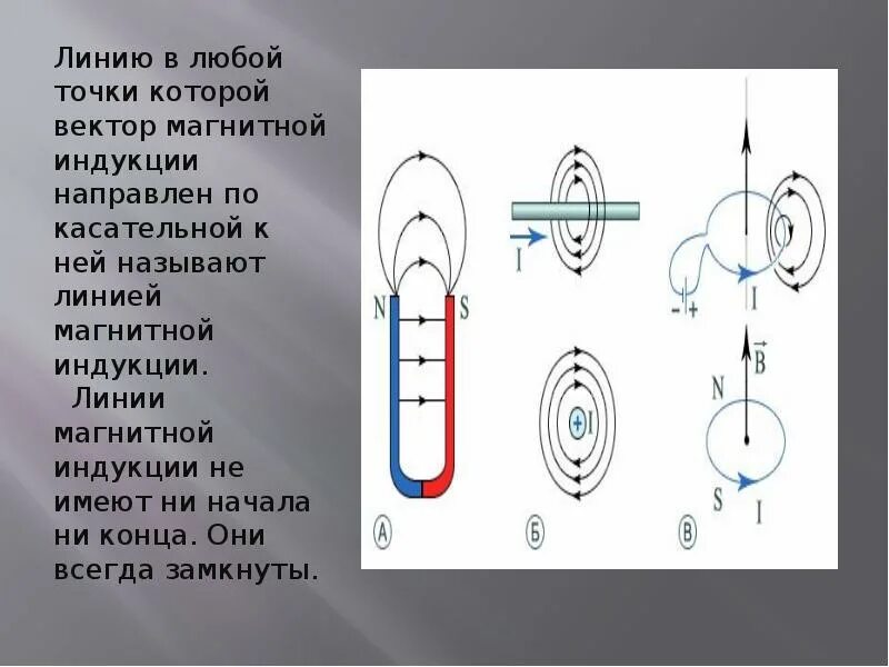 В магнитном поле линии индукции которого. Вектор магнитной индукции направлен к линиям магнитной индукции. вектор магнитной индукции по касательной. линии магнитной индукции в магните. линии вектора магнитной индукции.