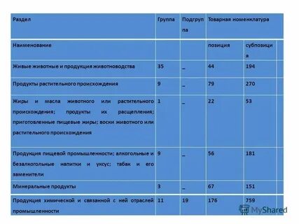 Название товарной позиции