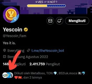 Yescoin листинг