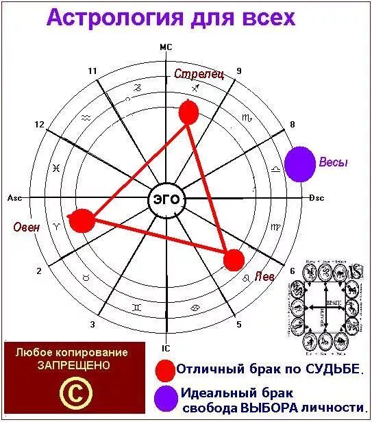 Совместность знаков зодиака. Совместимость девушки овна и парня стрельца. Идеальные пары по знаку зодиака. Совместимость знаков зодиака Овен. Совместимость женщина лев мужчина стрелец в любви