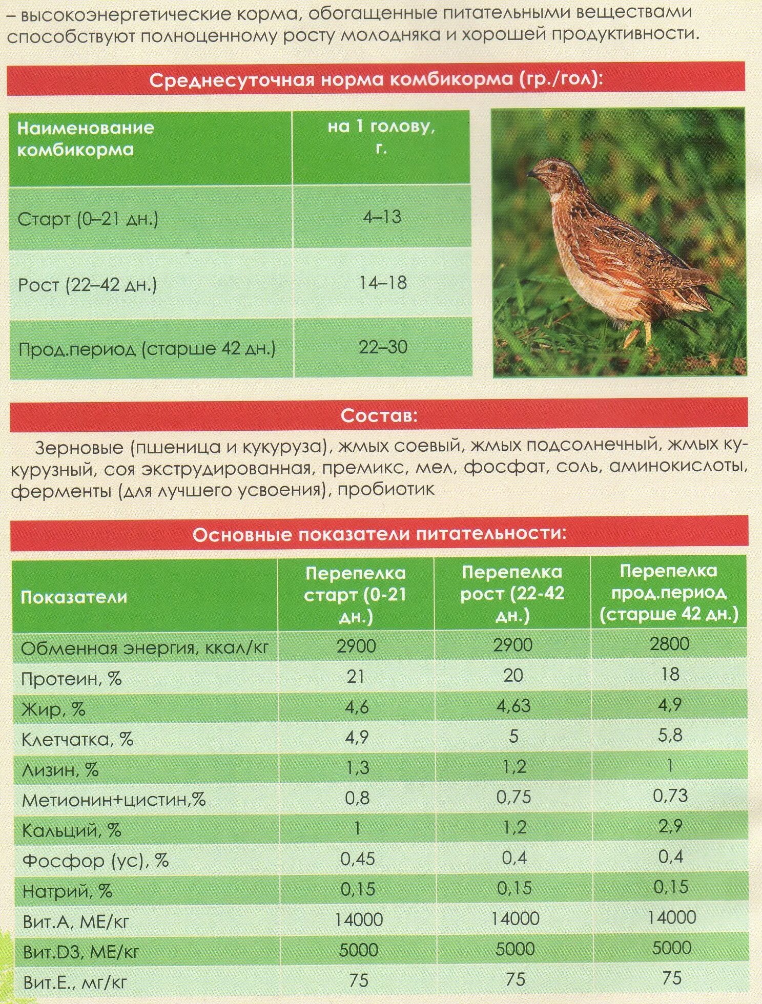 Комбикорм для перепелов несушек рацион. Таблица кормления перепелов комбикормом. Нормы кормления перепелов. Рацион для перепелов таблица. Сколько стартом кормить
