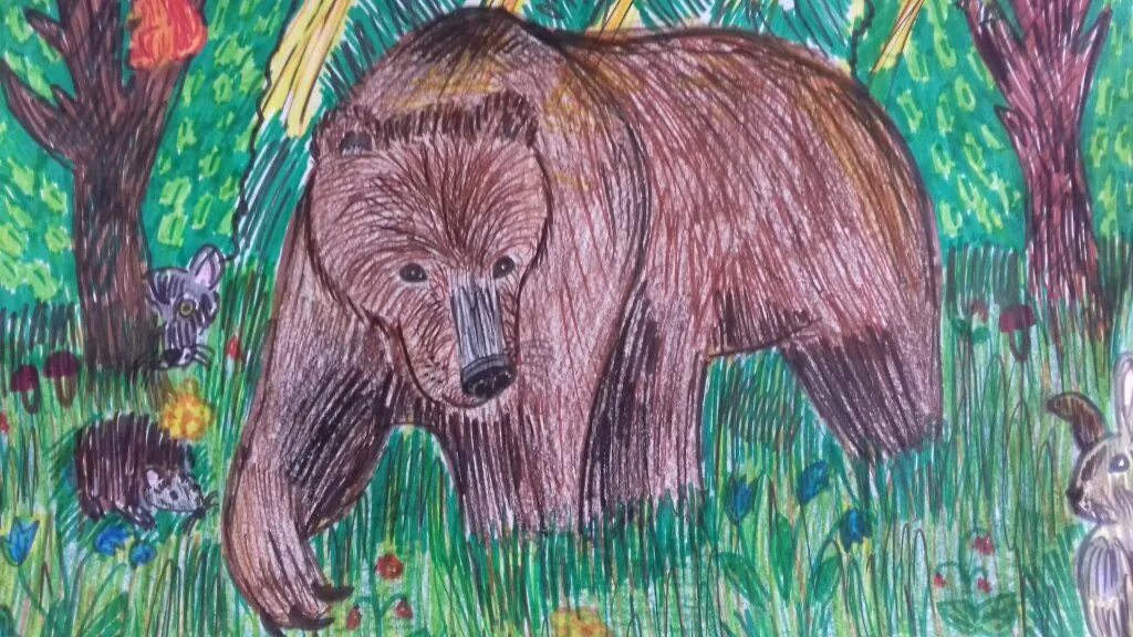 Конкурс мир животных. Медведь цветными карандашами. Мир заповедной природы рисунки. Рисунок на тему заповедник. Мир заповедной природы рисунки на конкурс.