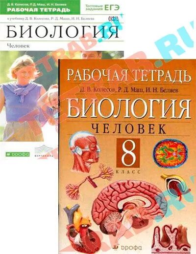 Рабочая тетрадь биология беляев 8. Рабочая тетрадь 8 кл Колесов, маш ФГОС биология. Биология Колесов Дрофа 8 класс. Рабочая тетрадь биология. Человек Колесов, маш, Беляев Дрофа. Биология 8 класс рабочая тетрадь Колесова.