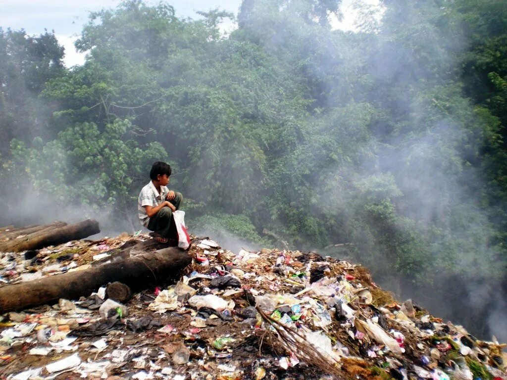 Обезображивание природных ландшафтов. Environmental degradation. Экология. Загрязнение. Экология лесов.
