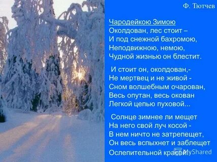 Чародейкою зимою околдован лес стоит тютчев