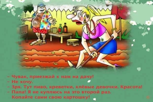Приехала на дачу 18. Приехала на дачу 18. Лето у бабушки в деревне. Приехала на дачу 18. Девочки летом на даче.