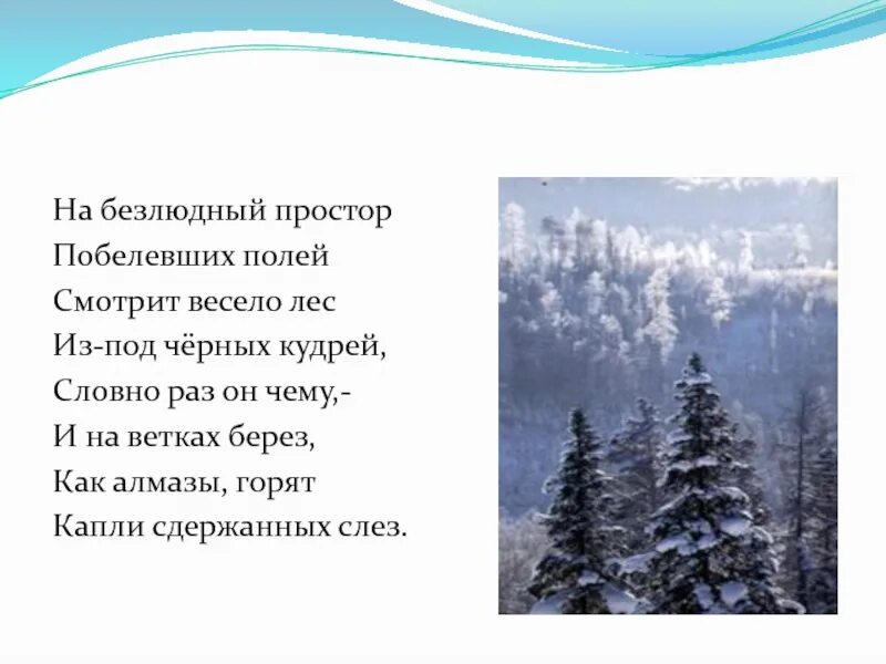 Стихотворение никитина лес. Стихотворение встреча зимы. Встреча зимы Никитин. Стихотворение Никитина встреча зимы. Никитин встреча зимы стихотворение.