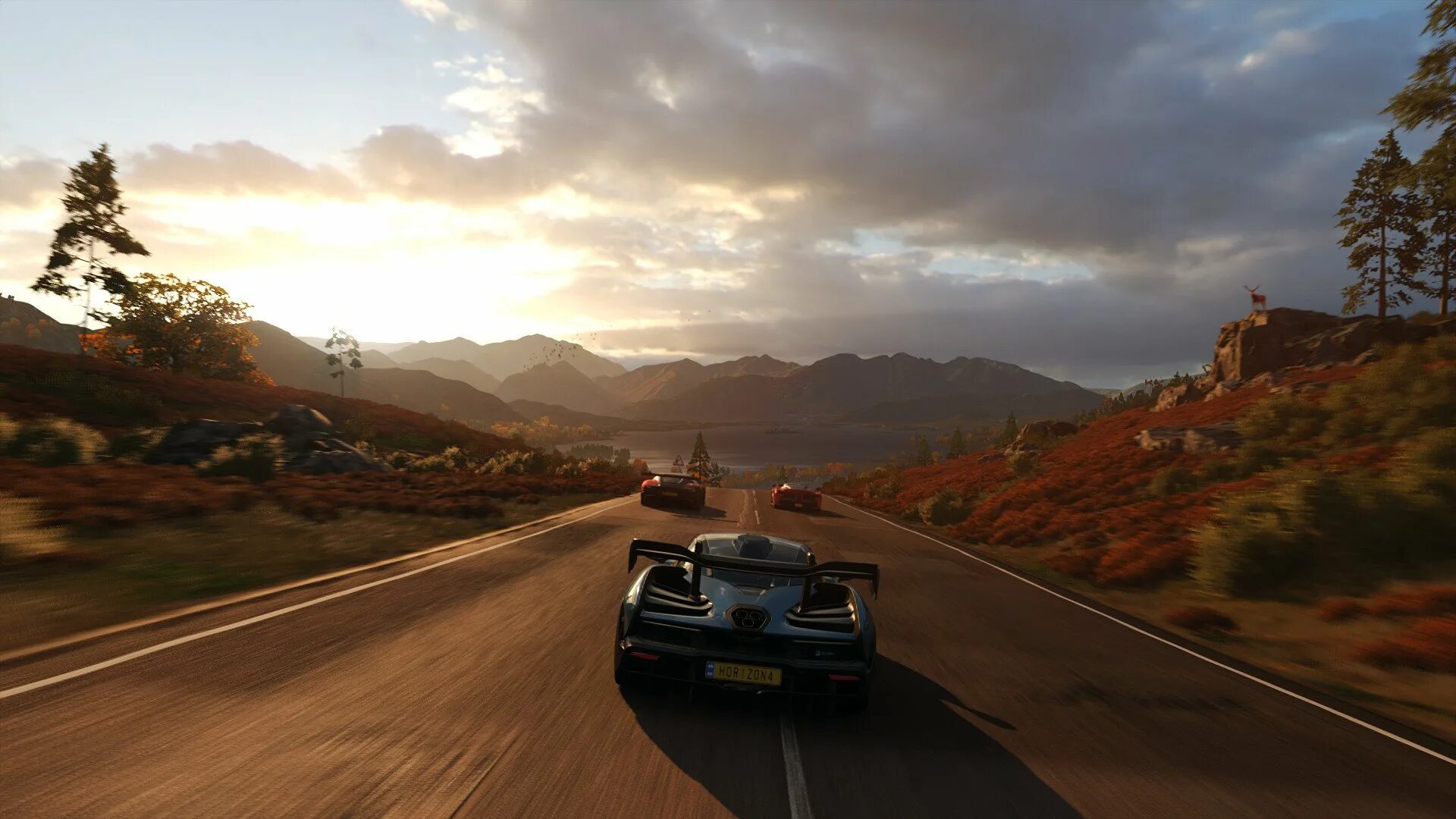 Forza horizon фото