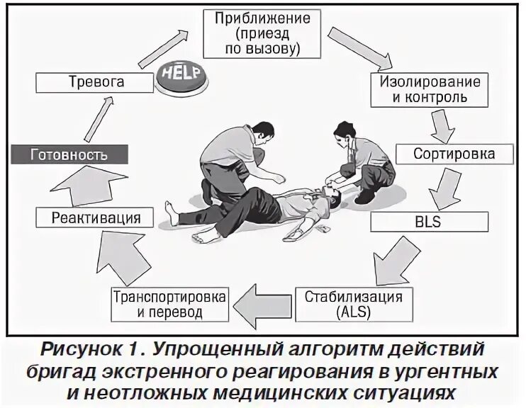 План экстренного медицинского реагирования. Схема экстренного медицинского реагирования. план аварийного реагирования. план экстренного медицинского реагирования на предприятии образец.