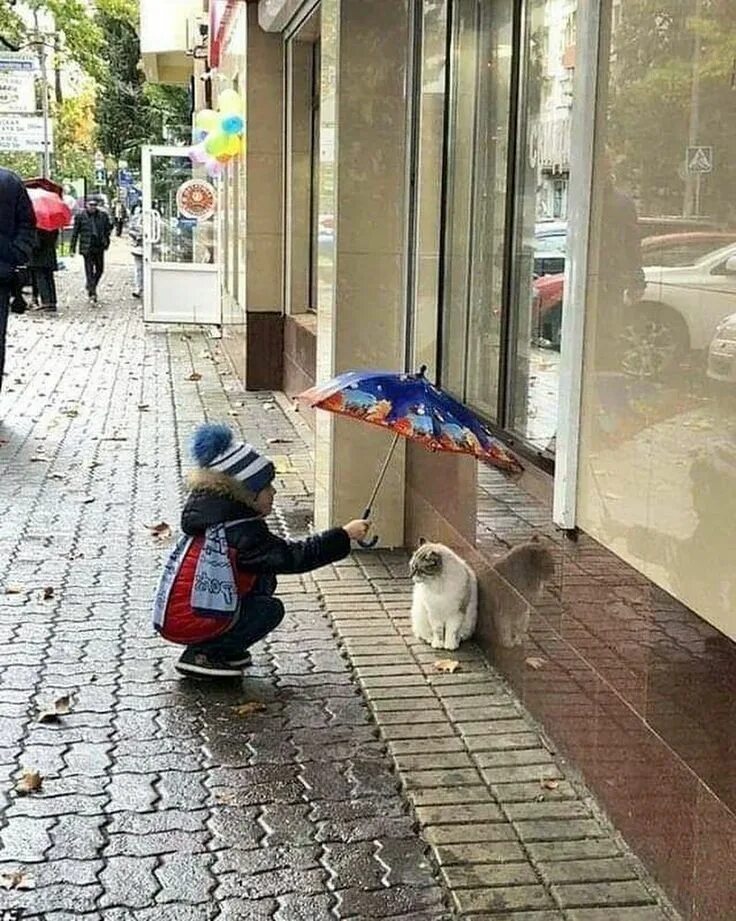 Kindness to animals. Добрые поступки. Добрые дела. Добрые поступки людей. Доброта спасет мир.