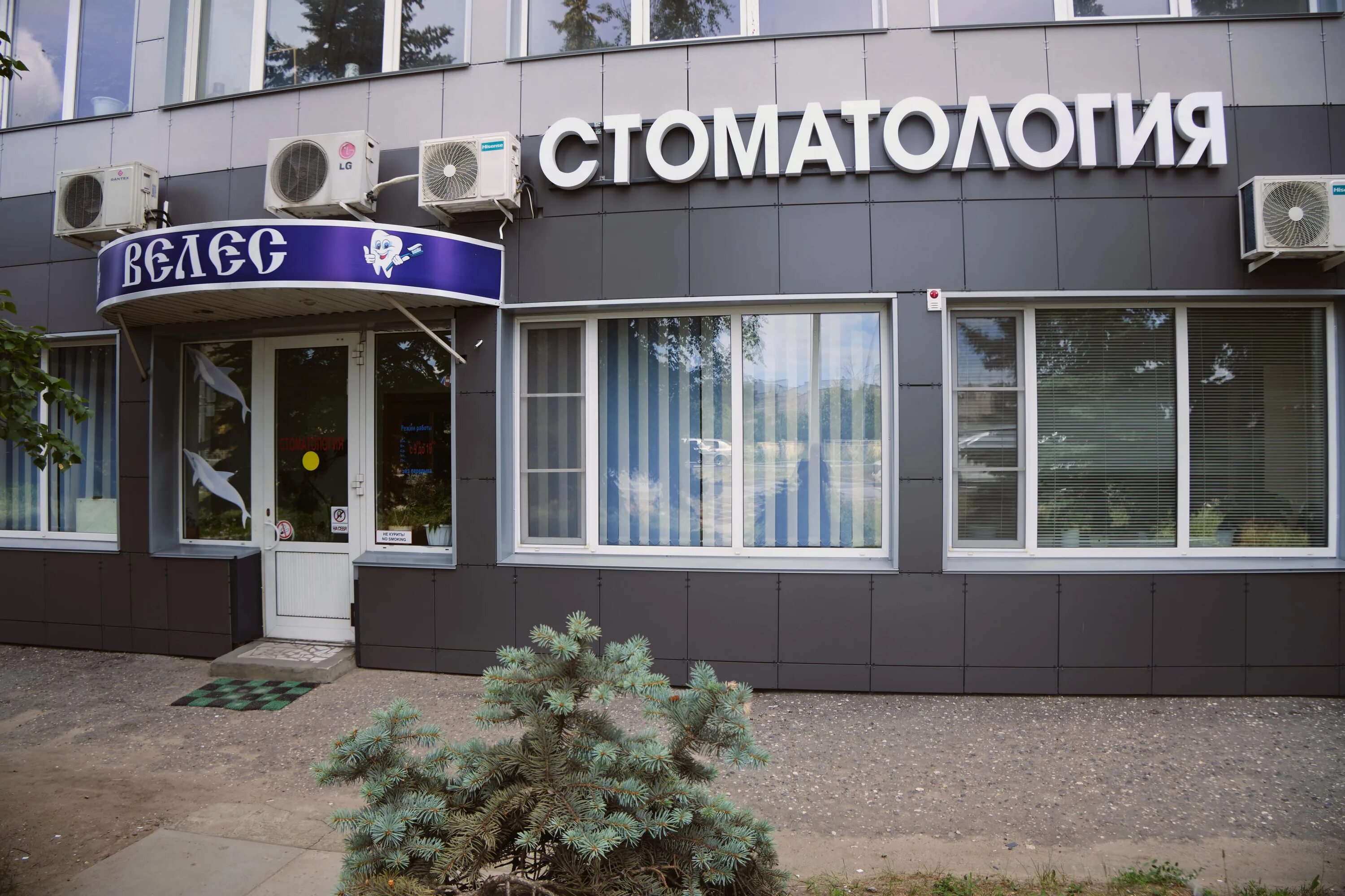 екатерина велес санкт. пивоварня велес курган. велес волгоград. векторное изображение логотипа велес. велес екатерина николаевна.