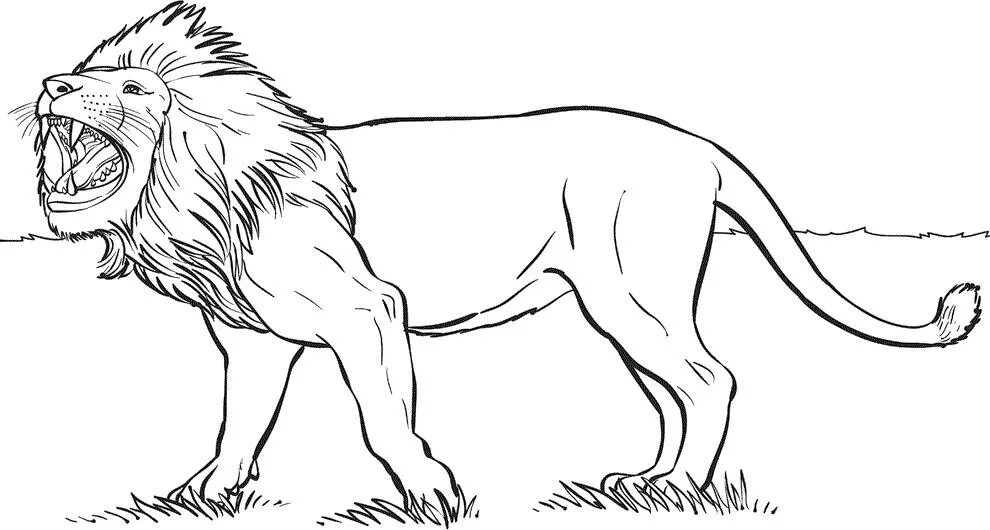 Лев не против. Елагин остров в санкт-петербурге набережная. Симба мультик король лев. Король лев 2 гордость симбы кову. Лев отдел.