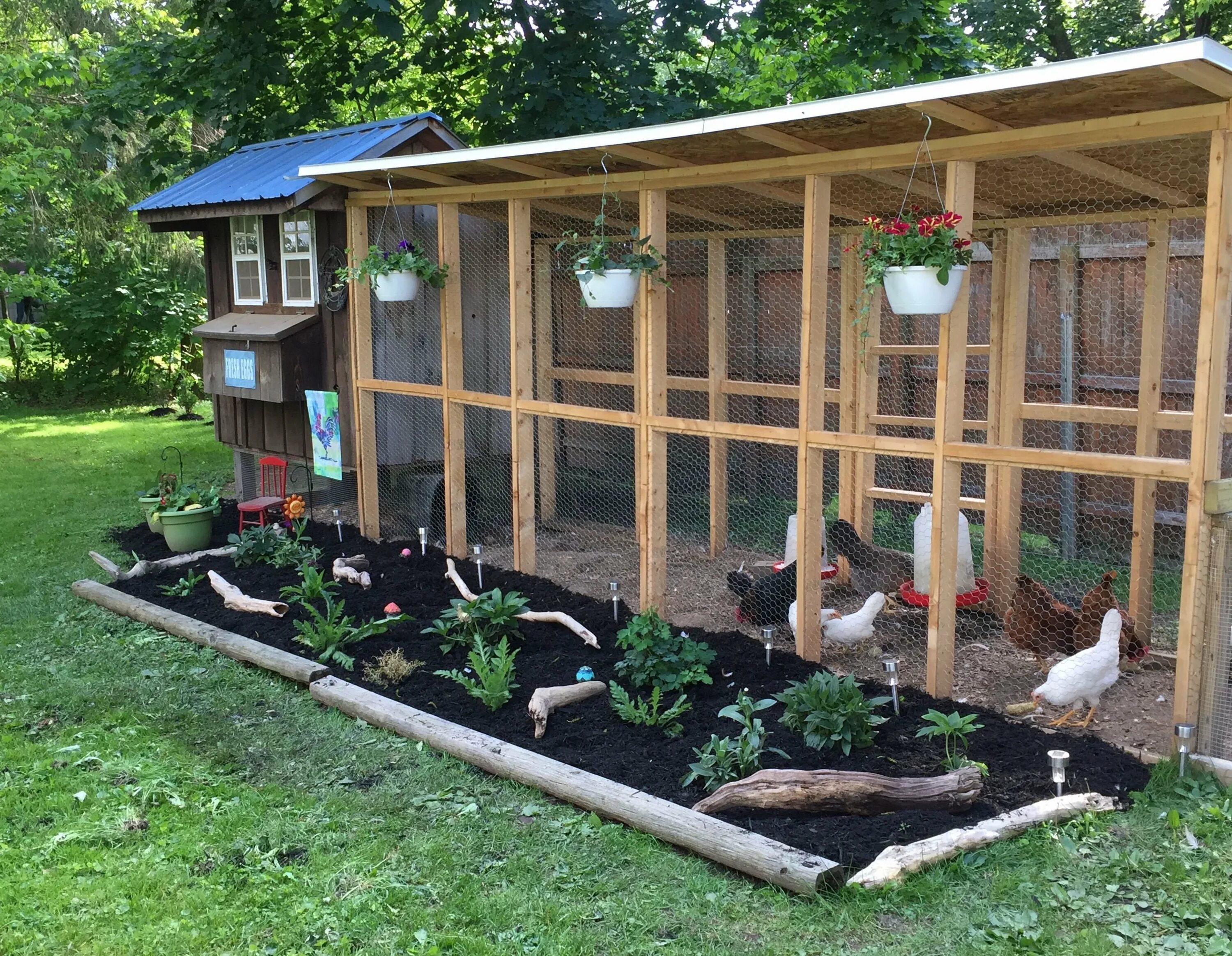 Содержание кур в частном доме. Курятник на 30 кур. курятник на 30 кур несушек. курятник на 30 кур с выгулом. курятник на 50 кур несушек.