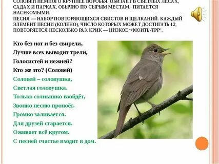 Смолкли звонкие голоса птиц подчеркнуть