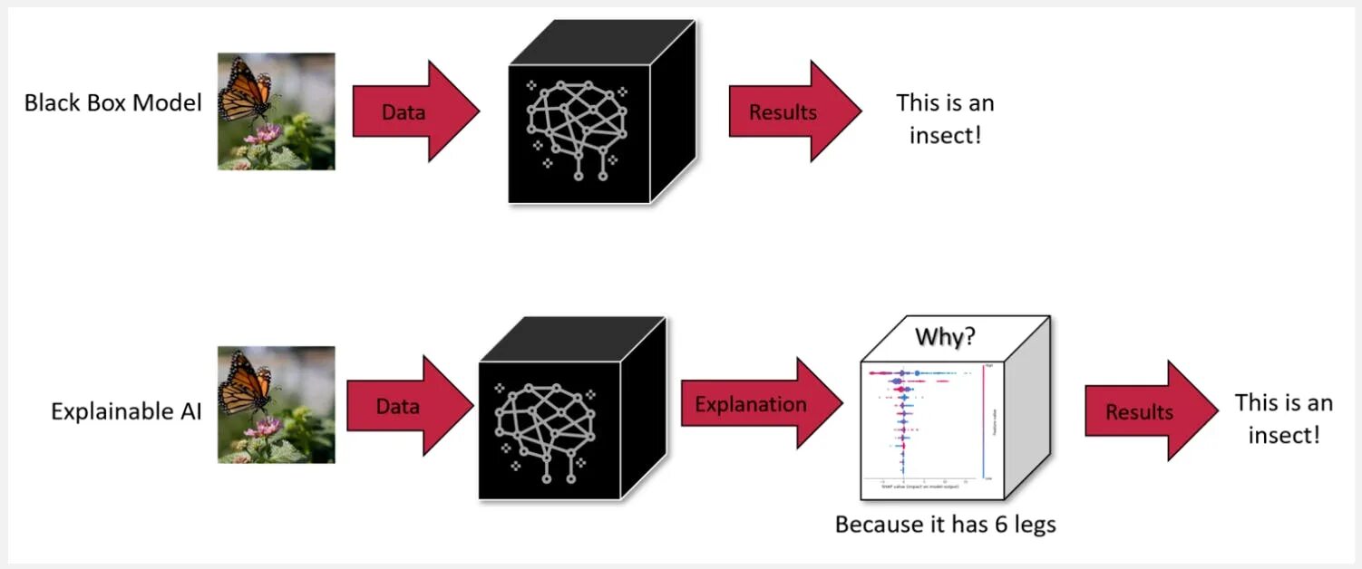 Blackbox python. Blackbox нейросеть. black box ai. машинное обучение картинка черный ящик. explainable machine learning.