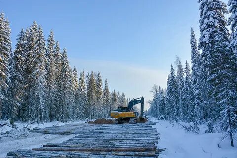 Строительство зимних дорог