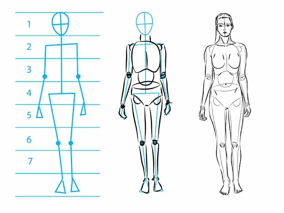 Рисовать человека поэтапно карандашом в полный рост. Фигура человека рисунок. Схема рисования человека. Рисунок человека в полный рост карандашом. Тело человека для рисования.