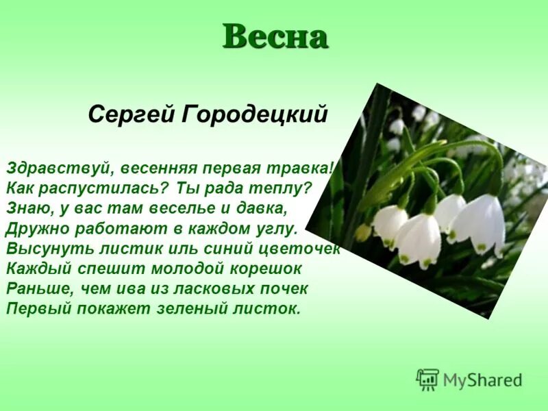 Стих про весну. Стихотворение о весне.