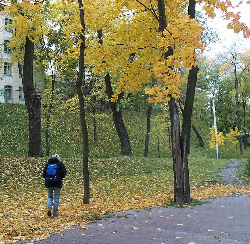 Шорох листьев управление