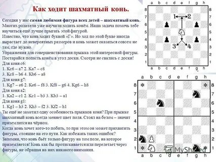 Сколько ходит конь