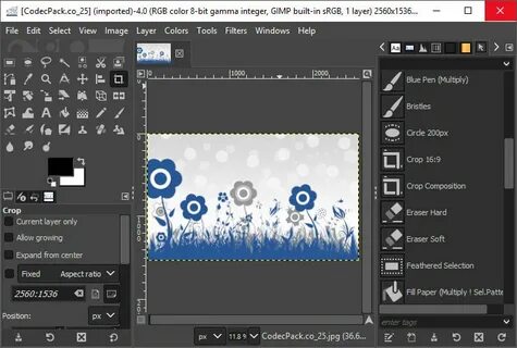 Gimp 2.10 38