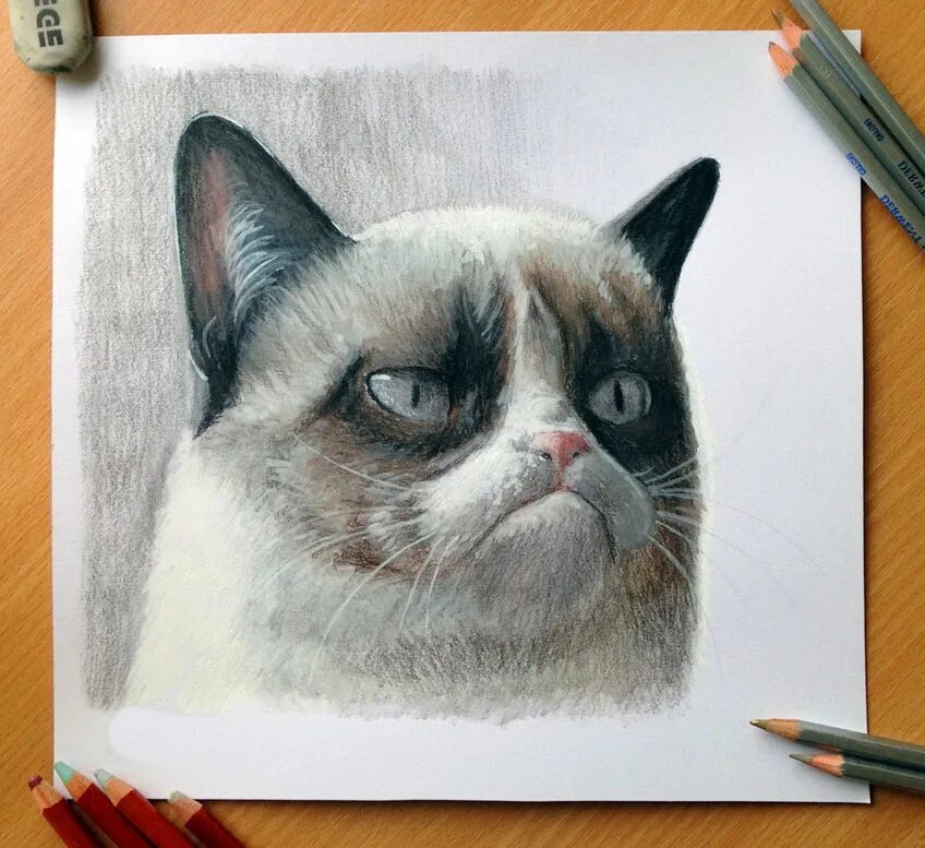 Идеи для рисунков котиков