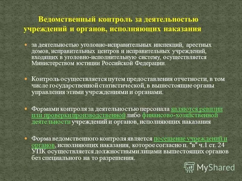 Система органов исполняющих наказание