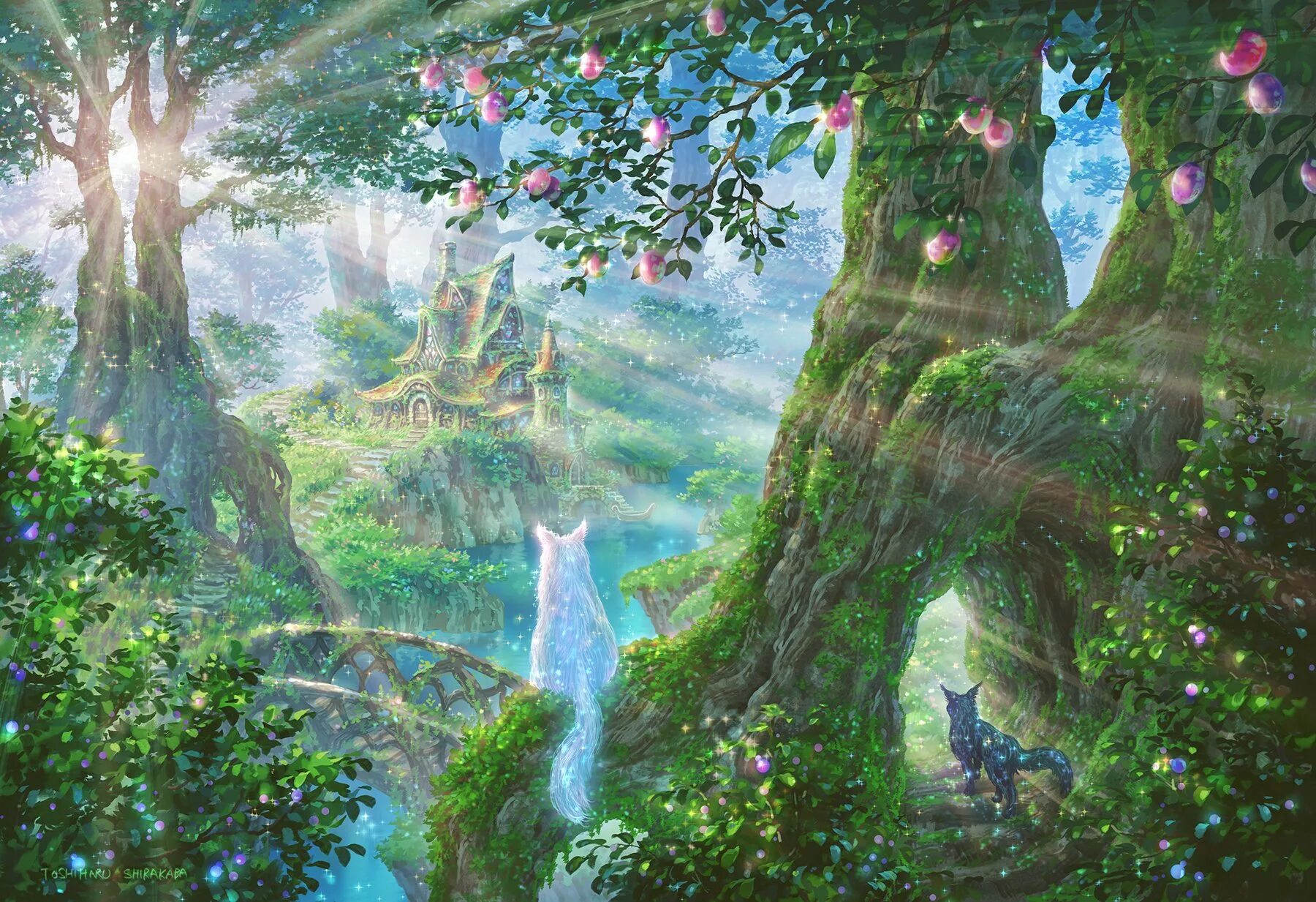 Волшебные картинки. Заколдованный лес аниме. Картина Волшебный лес. Волшебный лес рисунок. Норвегия Волшебный лес.