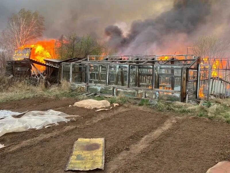 Пожар садоводство. Пожар. Пожар в садоводстве. Пожар в садовом участке в атлашкино. Пожар в садоводстве.