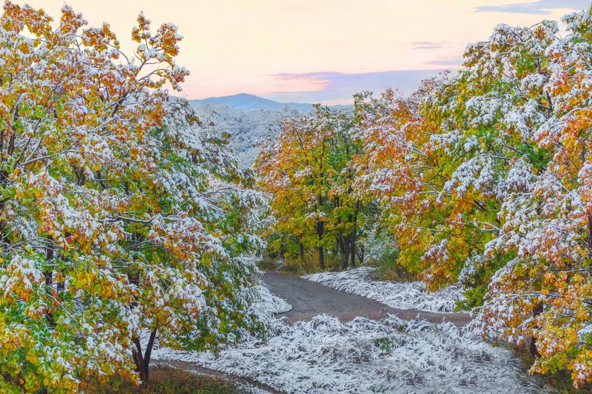 Природа в ноябре. Ноябрь природа. Ноябрь красота природы. Хабаровский край осень. Поздняя осень в горах солнце.