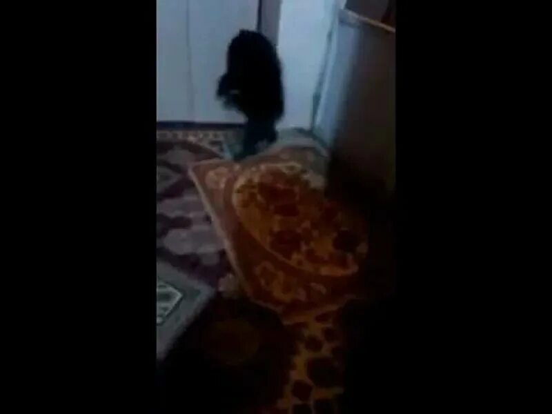 Домовой в реальной жизни дома. Существует ли домовой в реальной жизни. Паранормальное явление полтергейст. Домовой в реальной жизни дома. Домовой в реальной жизни.